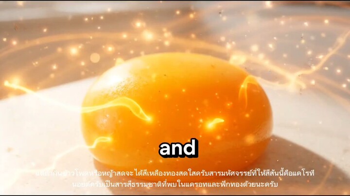 ทำไมไข่แดงถึงมีสีต่างกัน?