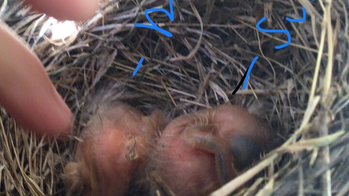 trim.A96BC187-3899-4679-BC7C-6AF092844524