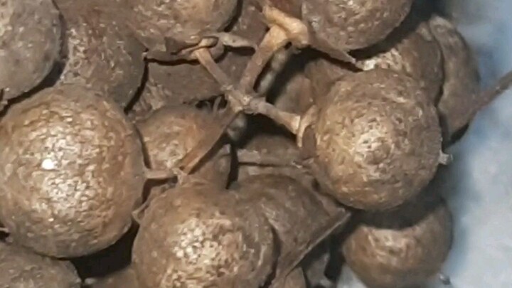 what is this?