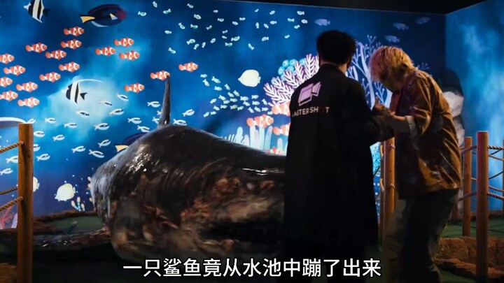 Điều gì sẽ xảy ra nếu megalodon nhiễm virus?