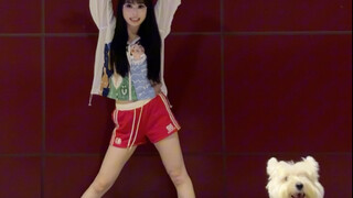 White Moonlight 4walls! (This is a toy dog~hahaha)