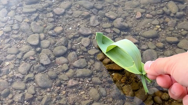 Remember those little awning boats made from reed leaves back in the day? They bring back so many ch