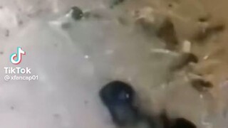 Upakan ko muna Yung daga sa Lugaw 🤣