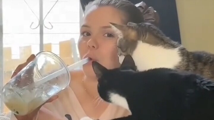 Hành động hài hước của Hakimi