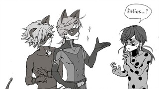 【Miraculous | Cat Noir | Cat Walker】Boyfriend