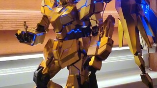 大班pg菲尼克斯