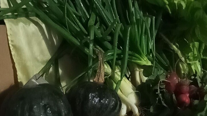 producción Uruguay campo