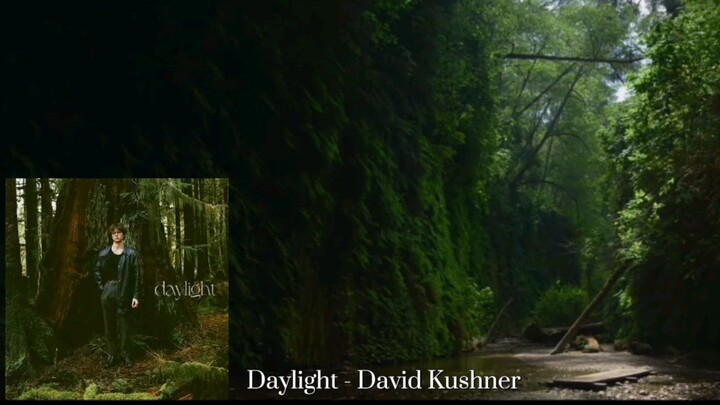 David kushner - daylight