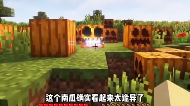 Quả bí ngô kỳ quái trong Minecraft...
