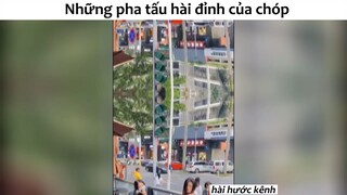 Những pha tấu hài đỉnh chóp#haihuoc#hài#tt