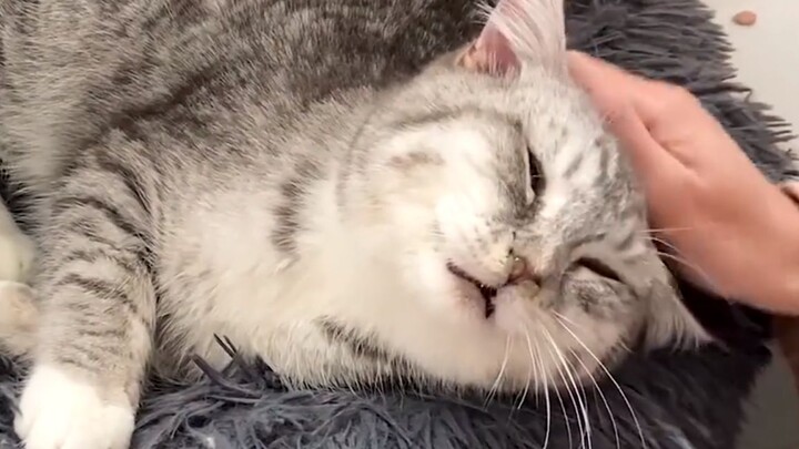 Aku juga tidak jelek, kenapa malah dibuang?