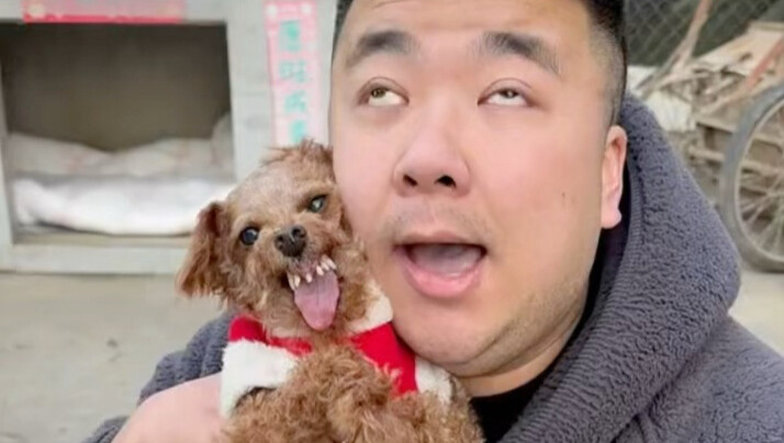 Hãy nhanh tay thưởng thức màn kết hợp âm nhạc đỉnh cao giữa Anh Mô Mô và giáo viên nước ngoài!