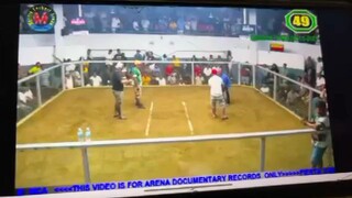 MCA fiesta  3wins.     lose