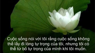 Những câu nói hay về tình yêu và cuộc sống đáng để chúng ta phải suy ngẫm