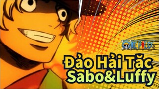 [Đảo Hải Tặc] Sabo：Luffy, Chúng ta sẽ gặp lại một ngày nào đó