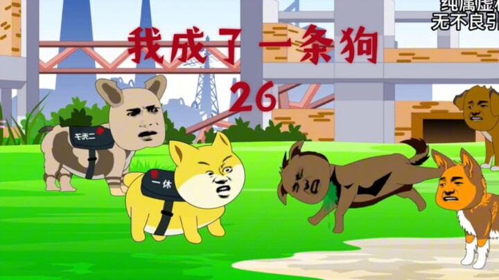 第26集 丨 小弟受伤，一休启动狗喝水功能
