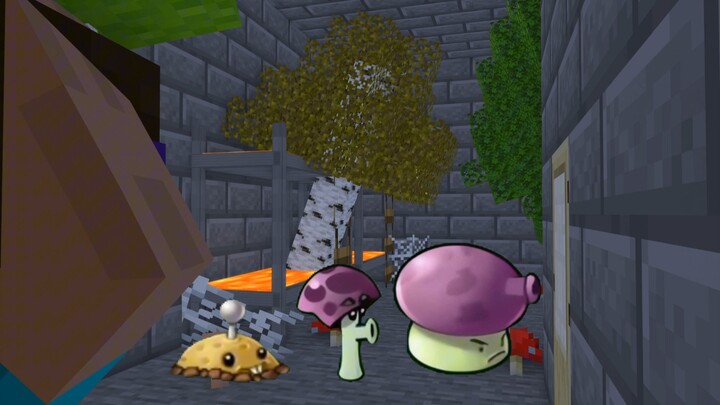 Kondisi dewa emas yang luar biasa bagi mereka yang benar-benar pernah bersekolah 0,1