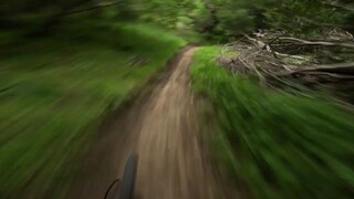 针不戳，住在山里面真不戳