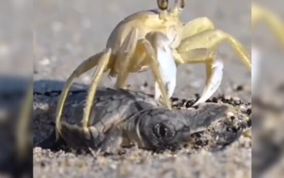 Bạn có thể buông tôi ra được không?