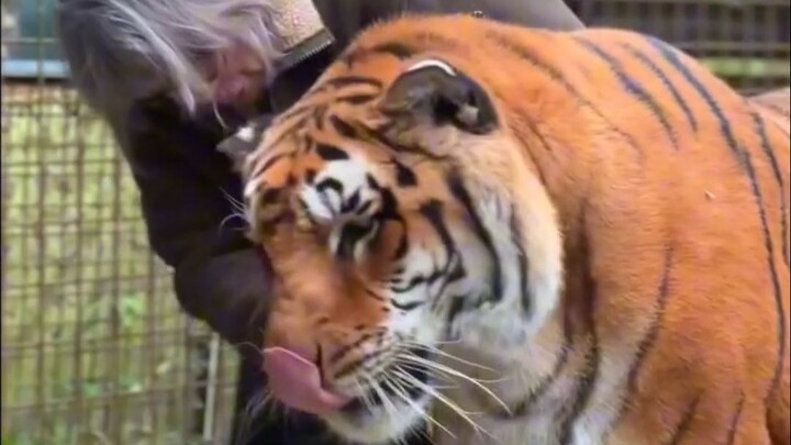 Bà và đứa cháu trai vạm vỡ