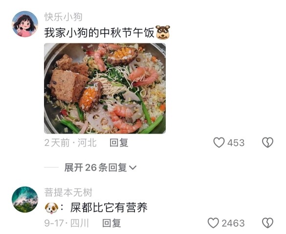 Chó nhà quê: Con chó ở thành phố chỉ ăn cái này à? 😅😅