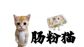 Rice Noodle Roll Cat