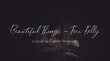 Beautiful Things (Acoustic Cover)