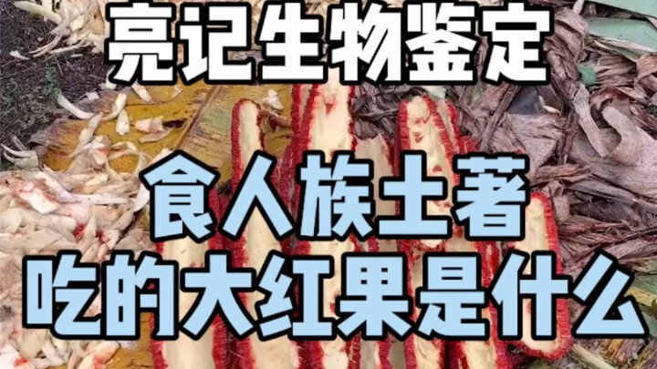 What are those bright red berries that the cannibalistic natives eat?