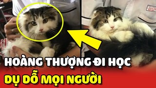 Hoàng Thượng ĐI HỌC CÙNG SEN đã DỤ DỖ thành công cô giáo và các bạn cùng lớp 😂 | Yêu Lu