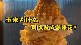 #Why does corn turn into popcorn#? The fascinating physical and biological processes behind the magi