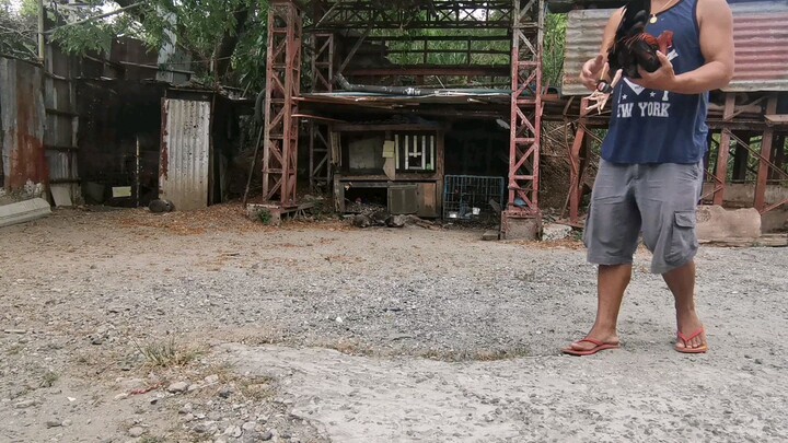 Sparring May 19 2023 fight