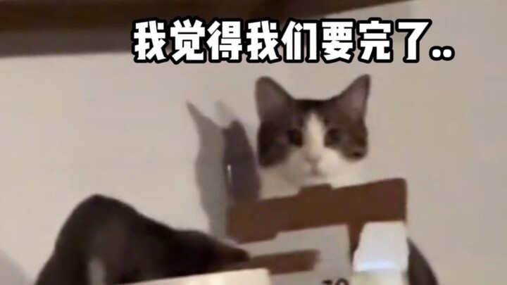 [مؤثرات صوتية للحيوانات] عندما يُكتشف أنك تسرق الطعام