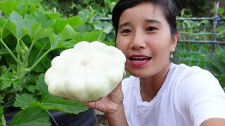 THU HOẠCH HÀNH HƯƠNG, BÍ NGÒI ĐĨA BAY,CỦ DỀN ĐỎ,DƯA LEO HÀN QUỐC, LÁ TÍA TÔ HÀN QUỐC