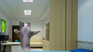 ❤️Liệu tôi có bị Zeno và Enya trêu chọc trong phòng y tế không? ! ❤️[Meme mèo trắng bụi]