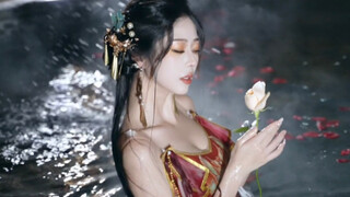 她从西域而来，可不只是为了做个简单的舞姬