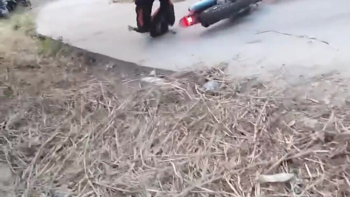 Peanut-sized little stool— I could watch it all day. One