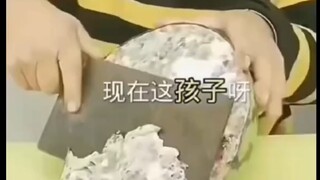 ⚡地球生物迷惑行为鉴赏⚡25