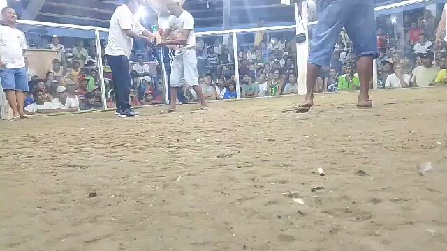 2cock champion 1st fight