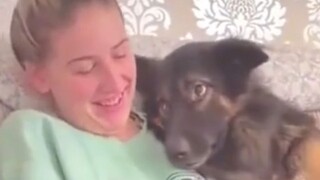 Niat buruk apa yang mungkin dimiliki anjing kecil itu?