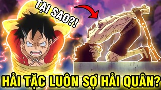 VÌ SAO HẢI TẶC SỢ HẢI QUÂN?! | LÝ DO HẢI QUÂN LUÔN MẠNH HƠN HẢI TẶC TRONG ONE PIECE