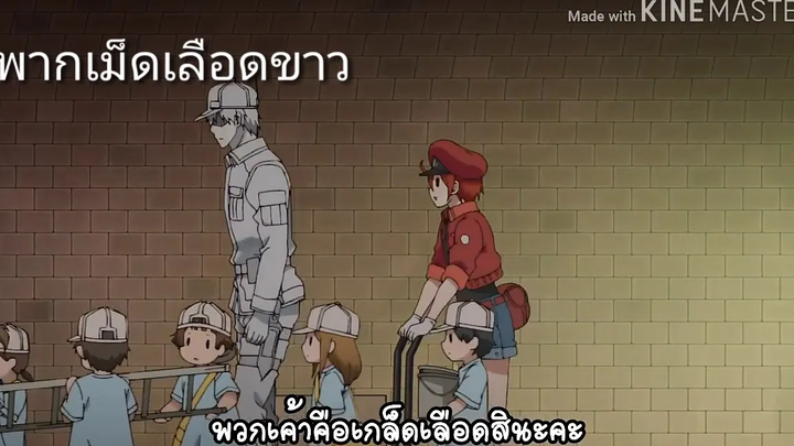 เซลล์ขยัน พันธุ์เดือด(ตัวอย่างพากย์ไทย)(เอาคลิปคนอื่นมาพาก)