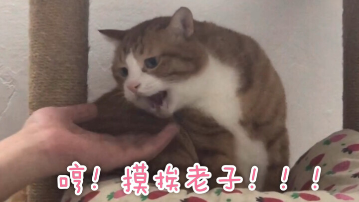 Nhanh chóng tha thứ rồi lại nhăn mông haha, đúng là kiểu cãi nhau yêu thương