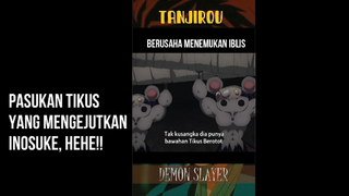 TIKUS BEROTOT, ADA YANG MAU PUNYA PASUKAN TIKUS JUGA GAK NIH??