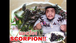 อึ้ง!!  แมงป่องทอด  30ตัว  SCORPION.  อร่อยที่สุดใน8โลกเลย