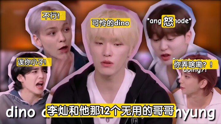 Lý Sán: Kiếp trước phạm tội, kiếp này làm em út của SEVENTEEN!
