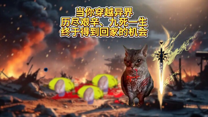 当你穿越异界终于回家
