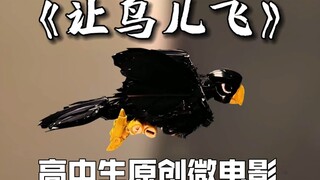高中生花一年时间拍了个微电影－定格动画短片《让鸟儿飞》