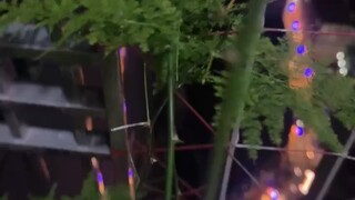 弱者道之用.社会运行法则其实很简单.忍是一条线.能是一条线.忍人所不忍.能人所不能.这两者之间就是生存法则！财富的底层逻辑：懂规律、修德行、待时运，方得富足。富在术数，不在劳身；利在局势，不在力耕