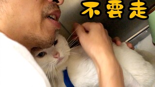 The hospitalized cat was very excited to see his owner and kept asking: "I'll come back tomorrow."