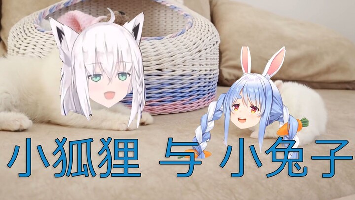 初次见面的小狐狸与小兔子